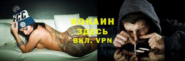 spice Верея