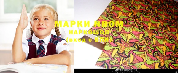 spice Верея