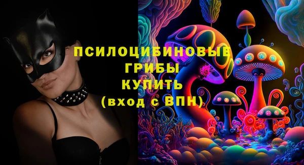 прущая мука Тында