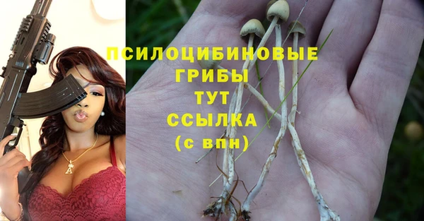 spice Верея